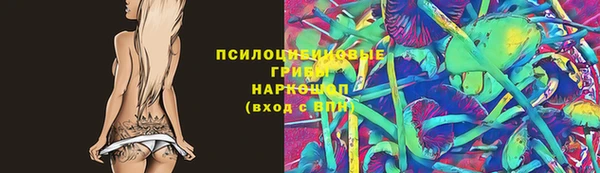 стаф Горнозаводск