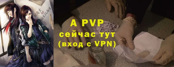 стаф Горнозаводск