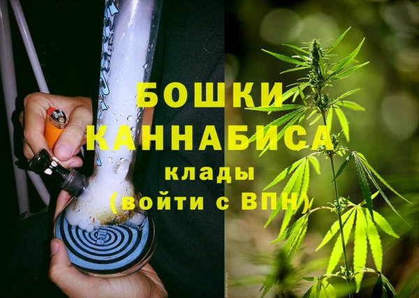 PSILOCYBIN Горно-Алтайск