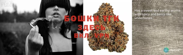 PSILOCYBIN Горно-Алтайск