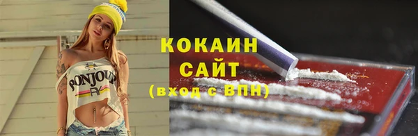 PSILOCYBIN Горно-Алтайск