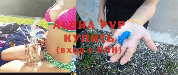 стаф Горнозаводск