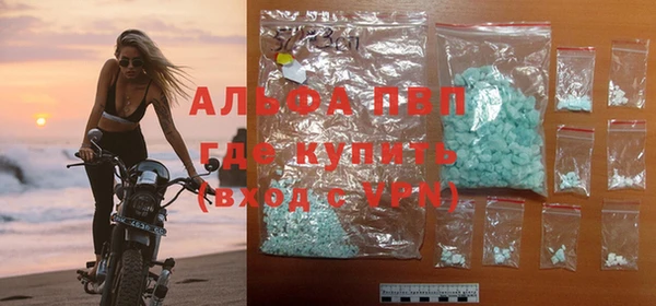 PSILOCYBIN Горно-Алтайск