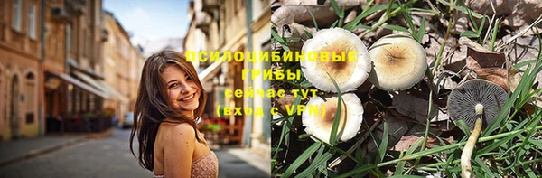 стаф Горнозаводск