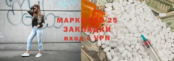 PSILOCYBIN Горно-Алтайск