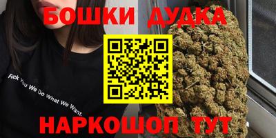Альфа ПВП Дубна