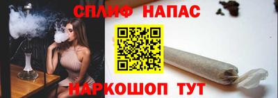 Альфа ПВП Дубна