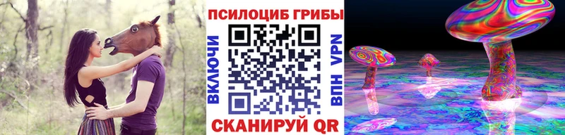 Псилоцибиновые грибы Psilocybe  Дубна 