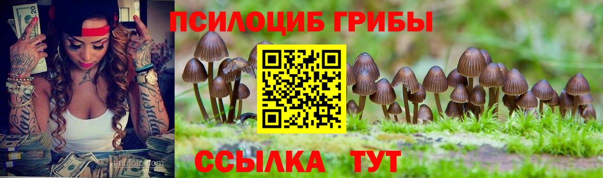 Псилоцибиновые грибы Psilocybine cubensis Дубна